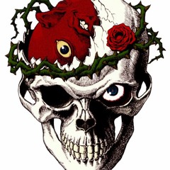 [skullknight.]