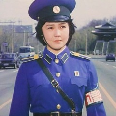 The Idol Voice of Korea Project