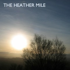 Muse (Acoustic Version)