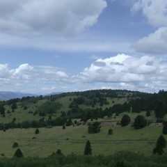 Kings and Feins (Prod. Jam)