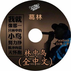 DJ 小亦 2016 林中鳥 (全中文串燒)