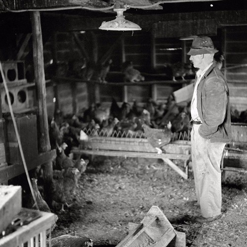 #GCWradio | 25/09/16 | Mudkid