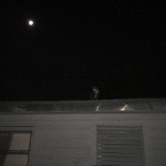 Holden Caulfield (prod. LIL QUTE)