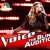 Artwork for The Voice 2016 Blind Audition - Lauren Diaz - If I Ain't Got You