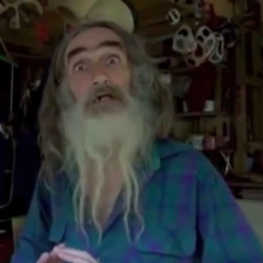 Nous sommes des poulets d'extraterrestres, ouvrez les yeux !