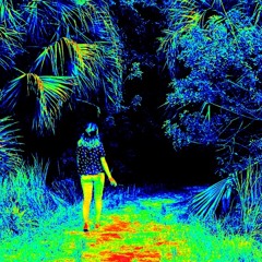 recollection. (snippet)