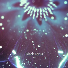 Black Lotus