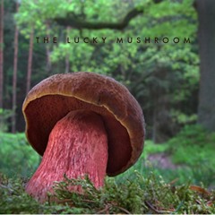 The Lucky Mushroom