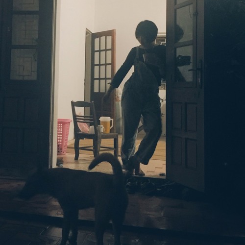 hanoi.1988