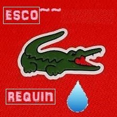 °  Larmes De Crocodile  °  ~ ft Esco