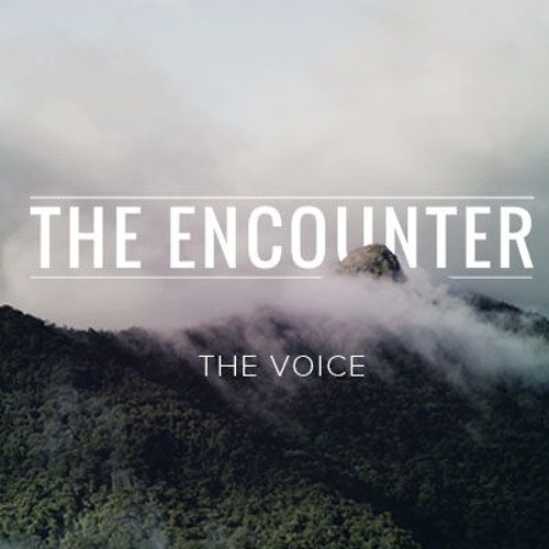 The Encounter - The Voice