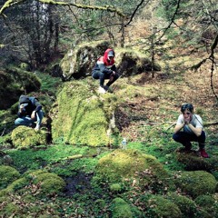 ADN - Les Raison d'Ma Folie