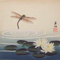 Nothing Stays The Same (Evolution)