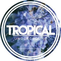 Digitizer - Colossus ()