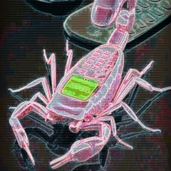 Cellophane Scorpion