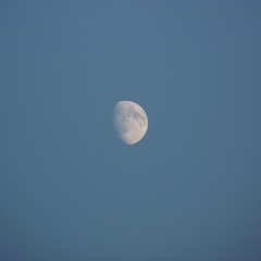 Daylight Moon 1a (Work in progress)