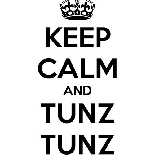 Mr.N1C3 - DISCO TUNZ INFECTED RMX