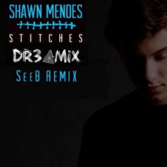 Shawn Mendes - Stitches (DR3AMZ Edit) SeeB Remix