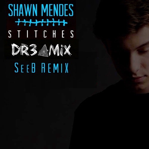 Shawn Mendes Stitches Dr3amz Edit Seeb Remix By Dr3amz