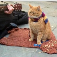 Street Cat Bob In D