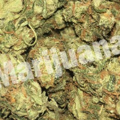 Marijuana