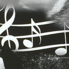 Fake Music by. David Quinn - Piano Cover