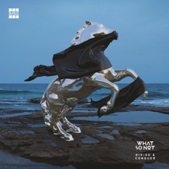 What So Not - Divide & Conquer