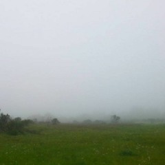 lost in the mist (old ambient mix )