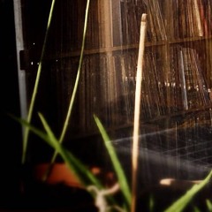 LOSTBANGAS- 06- PLANETS