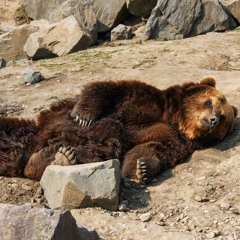 Instrumentals/ Beats/ TripHop