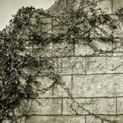 It happened while we were away