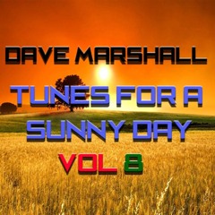 Dave Marshall - Oldskool Eclectic Mix- Tunes For A Sunny Day - Vol - 8