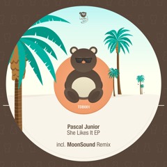 Pascal Junior - She Likes It (MoonSound Remix)