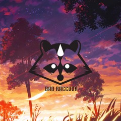 Bad Raccoon