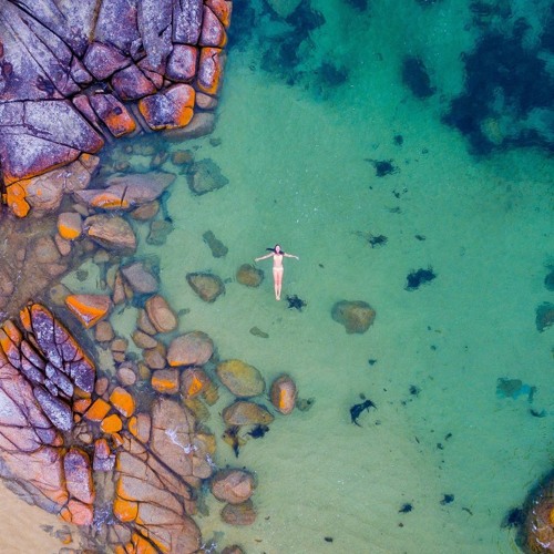 WP-Music Collaboration - Placid Dreams