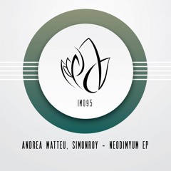 IM095 - Andrea Matteu, Simon Roy - NEODIMYUM EP