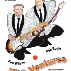 Walk don't run- The Ventures (cover)