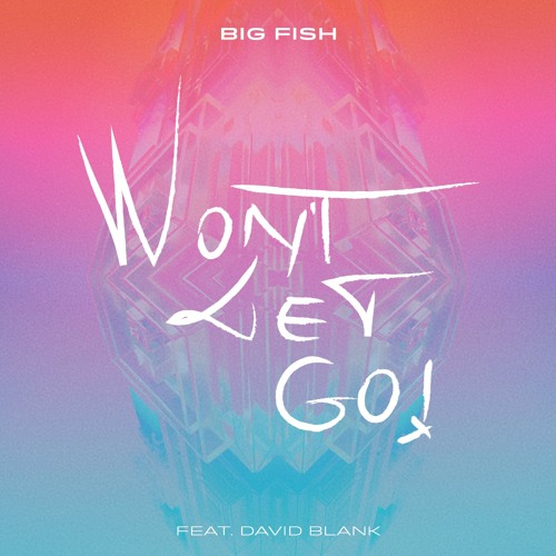 Big Fish Feat. David Blank - Won't Let Go (Original Mix)