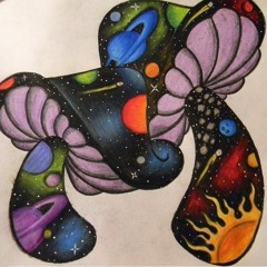 Long Play Record - Old Space Mushroom