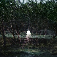 Beacon - Escapements (BAILE Remix)