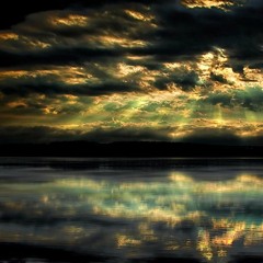 EDEN - after the storm