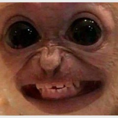 Felipito