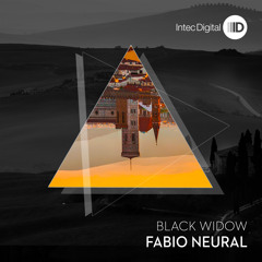 ID115 Fabio Neural - Memories - Intec copy