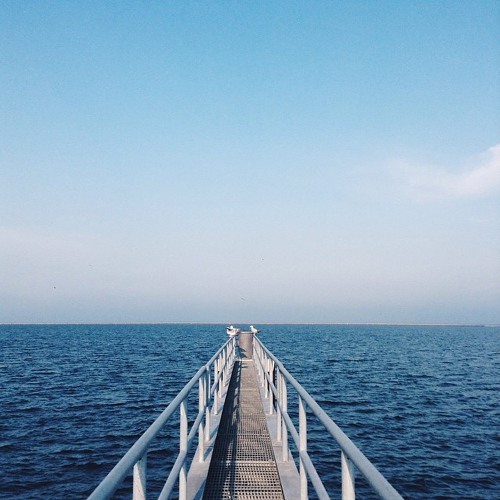 JR JR- Gone (Shakn & Stird Remix)