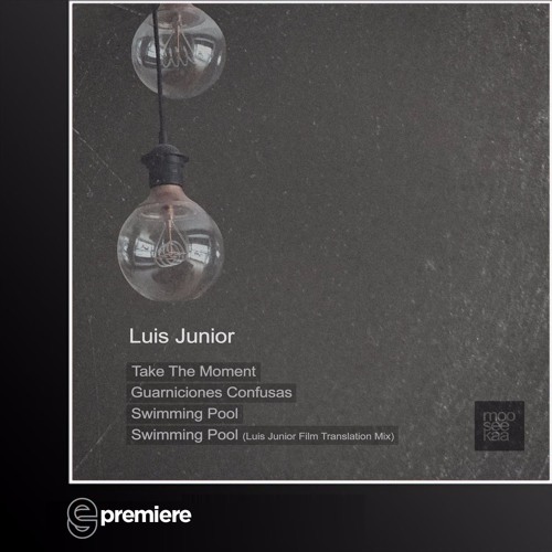 Premiere: Luis Junior - Take The Moment (Mooseekaa)