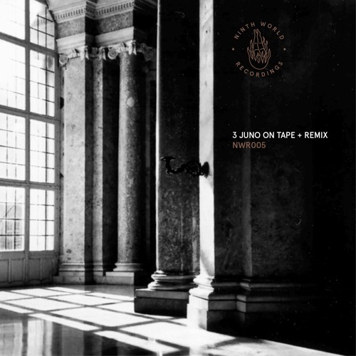 le visionnaire - 3 Juno On Tape (Nondescript & NAAK Remix) [snippet]