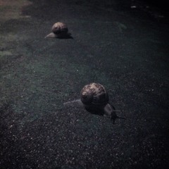 The Stranger Song (Leonard Cohen)