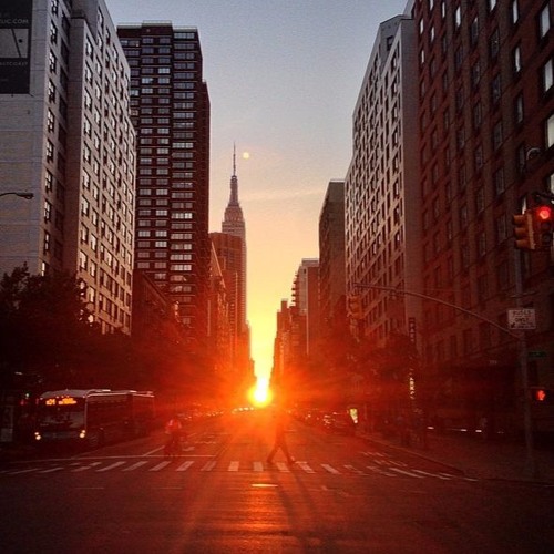 Dope Dope Dope Dope Dope