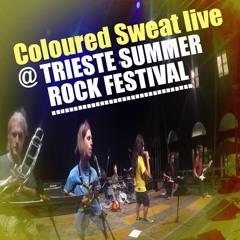 03 - Yertle The Turtle (RHCP)