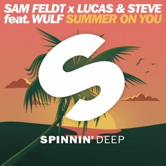 Sam Feldt and Lucas & Steve - Summer On You remix dj JOANKA